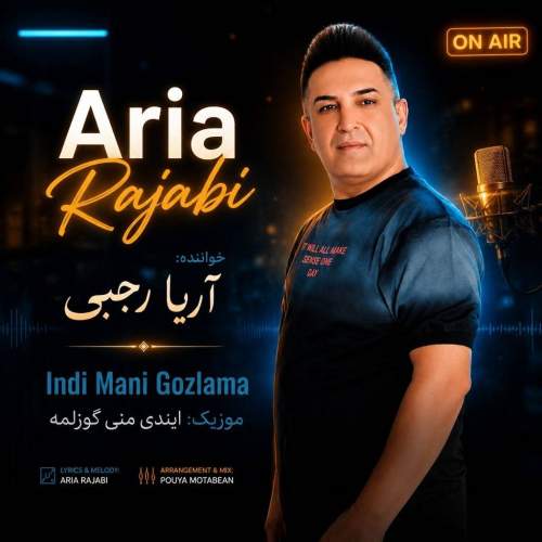 موزیک ایندی منی گوزلمه آریا رجبی