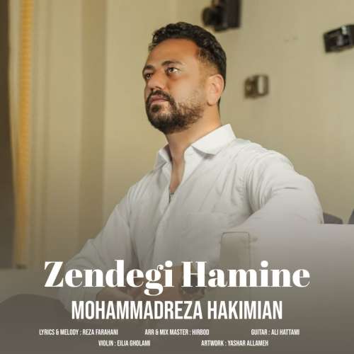 موزیک زندگی همینه محمدرضا حکیمیان