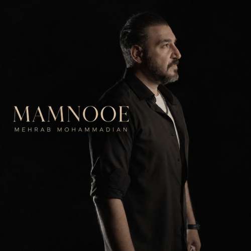موزیک ممنوعه محراب محمدیان